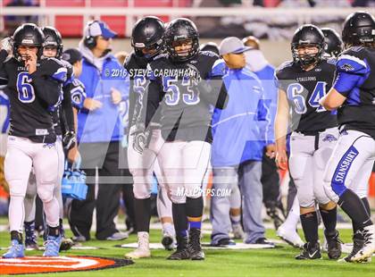 Thumbnail 3 in Desert Hills vs Stansburry (UHSAA 3AA Semifinal) photogallery.