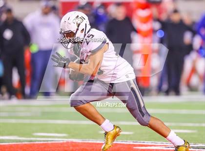 Thumbnail 1 in Desert Hills vs Stansburry (UHSAA 3AA Semifinal) photogallery.