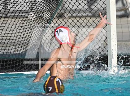 Thumbnail 3 in Crespi vs Burroughs photogallery.