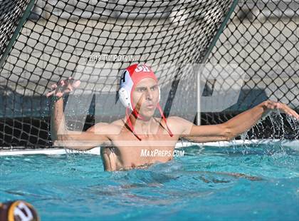 Thumbnail 1 in Crespi vs Burroughs photogallery.