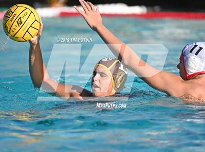 Thumbnail 1 in Crespi vs Burroughs photogallery.