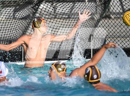 Thumbnail 3 in Crespi vs Burroughs photogallery.