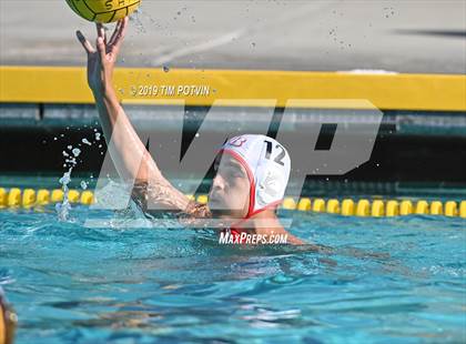 Thumbnail 1 in Crespi vs Burroughs photogallery.