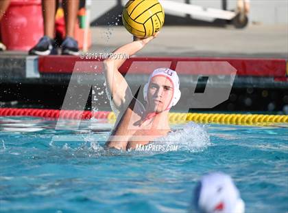 Thumbnail 3 in Crespi vs Burroughs photogallery.