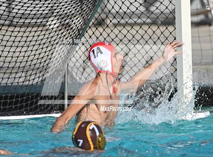 Thumbnail 2 in Crespi vs Burroughs photogallery.