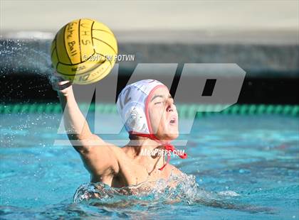 Thumbnail 1 in Crespi vs Burroughs photogallery.