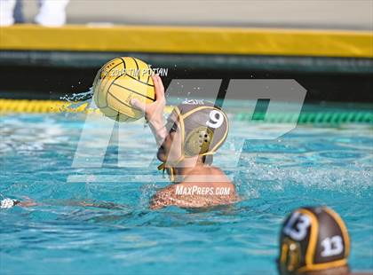 Thumbnail 3 in Crespi vs Burroughs photogallery.