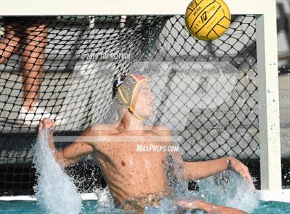 Thumbnail 3 in Crespi vs Burroughs photogallery.