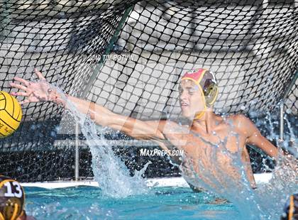 Thumbnail 1 in Crespi vs Burroughs photogallery.