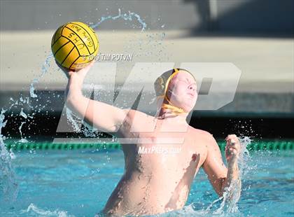 Thumbnail 1 in Crespi vs Burroughs photogallery.