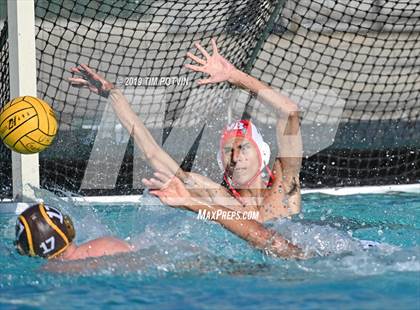 Thumbnail 1 in Crespi vs Burroughs photogallery.