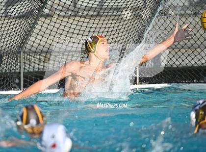 Thumbnail 1 in Crespi vs Burroughs photogallery.