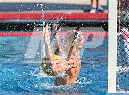 Thumbnail 3 in Crespi vs Burroughs photogallery.