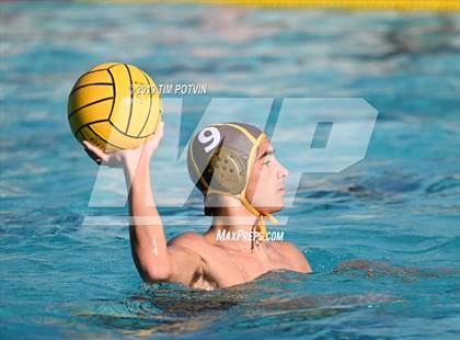 Thumbnail 2 in Crespi vs Burroughs photogallery.