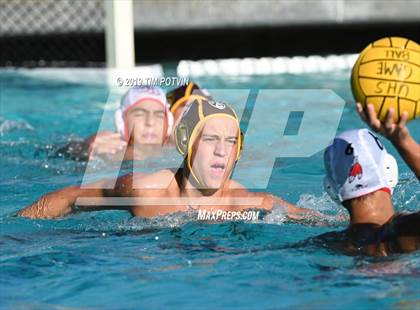Thumbnail 2 in Crespi vs Burroughs photogallery.