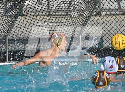 Thumbnail 1 in Crespi vs Burroughs photogallery.