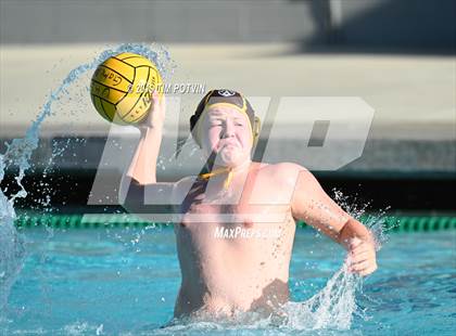 Thumbnail 3 in Crespi vs Burroughs photogallery.