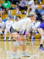 Photo from the gallery "Leo @ DeKalb"