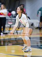 Photo from the gallery "Leo @ DeKalb"