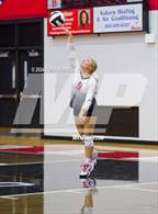 Photo from the gallery "Leo @ DeKalb"