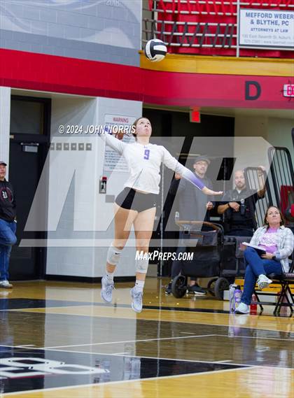 Thumbnail 2 in Leo @ DeKalb photogallery.