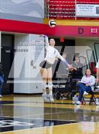 Photo from the gallery "Leo @ DeKalb"