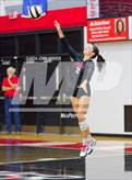Photo from the gallery "Leo @ DeKalb"
