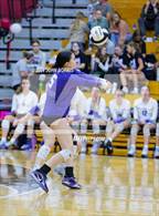 Photo from the gallery "Leo @ DeKalb"