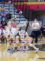 Photo from the gallery "Leo @ DeKalb"
