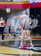 Photo from the gallery "Leo @ DeKalb"