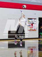 Photo from the gallery "Leo @ DeKalb"