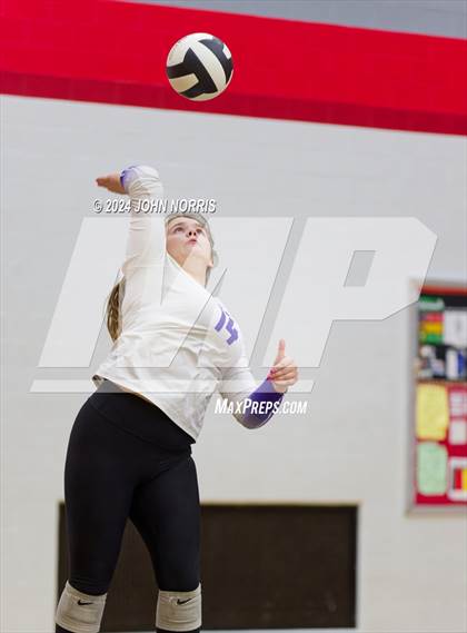 Thumbnail 1 in Leo @ DeKalb photogallery.