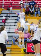 Photo from the gallery "Leo @ DeKalb"
