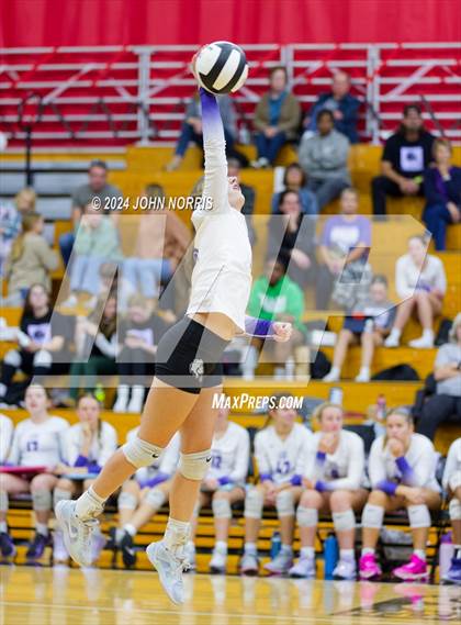 Thumbnail 2 in Leo @ DeKalb photogallery.