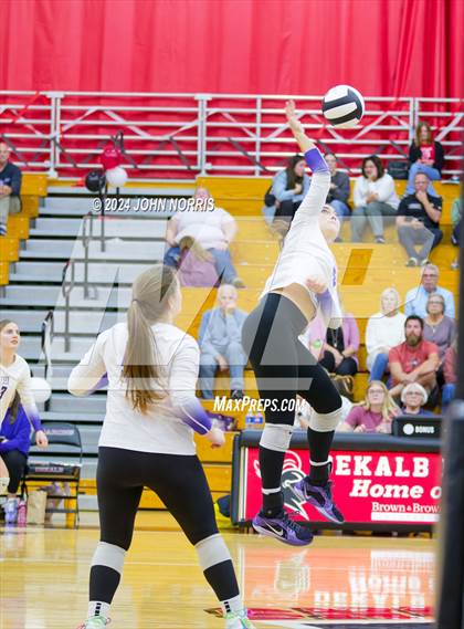 Thumbnail 2 in Leo @ DeKalb photogallery.
