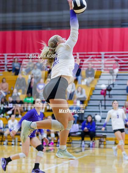 Thumbnail 1 in Leo @ DeKalb photogallery.