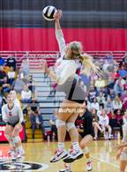 Photo from the gallery "Leo @ DeKalb"