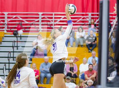 Thumbnail 1 in Leo @ DeKalb photogallery.