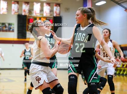 Thumbnail 3 in Tioga @ Collinsville photogallery.