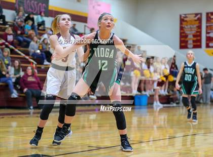 Thumbnail 1 in Tioga @ Collinsville photogallery.