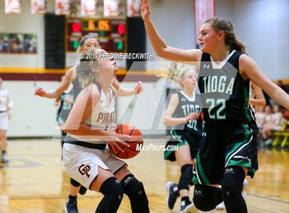 Thumbnail 2 in Tioga @ Collinsville photogallery.