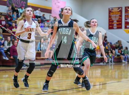 Thumbnail 1 in Tioga @ Collinsville photogallery.