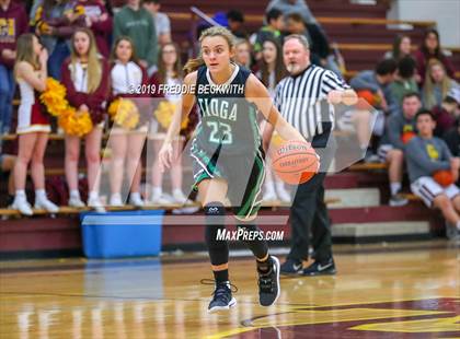 Thumbnail 2 in Tioga @ Collinsville photogallery.