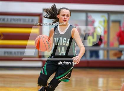 Thumbnail 1 in Tioga @ Collinsville photogallery.