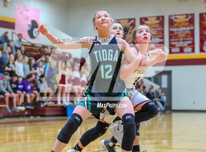 Thumbnail 1 in Tioga @ Collinsville photogallery.
