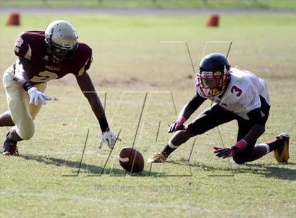 Thumbnail 3 in Crossland @ Douglass photogallery.