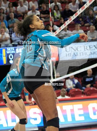 null - Photo 11