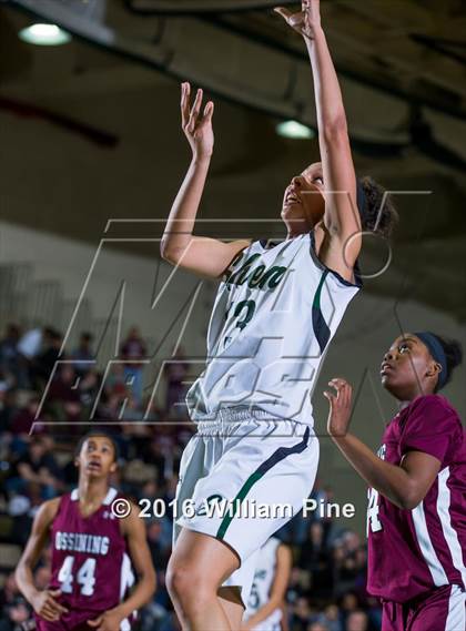 Thumbnail 3 in Shenendehowa vs. Ossining (NYSPHSAA Class AA Final) photogallery.