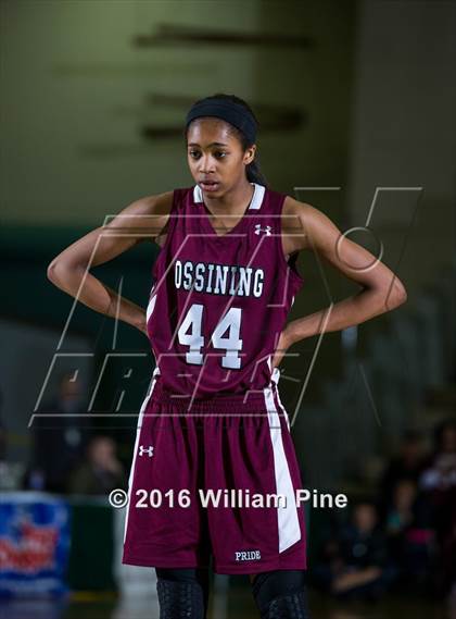 Thumbnail 3 in Shenendehowa vs. Ossining (NYSPHSAA Class AA Final) photogallery.