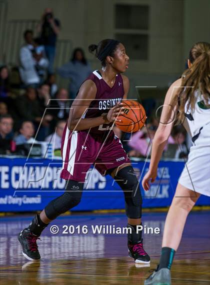 Thumbnail 2 in Shenendehowa vs. Ossining (NYSPHSAA Class AA Final) photogallery.